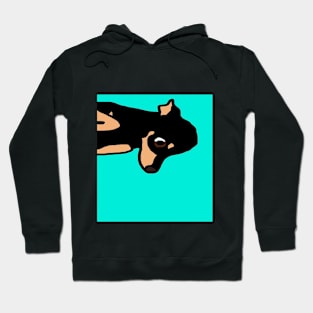 Dog Hoodie